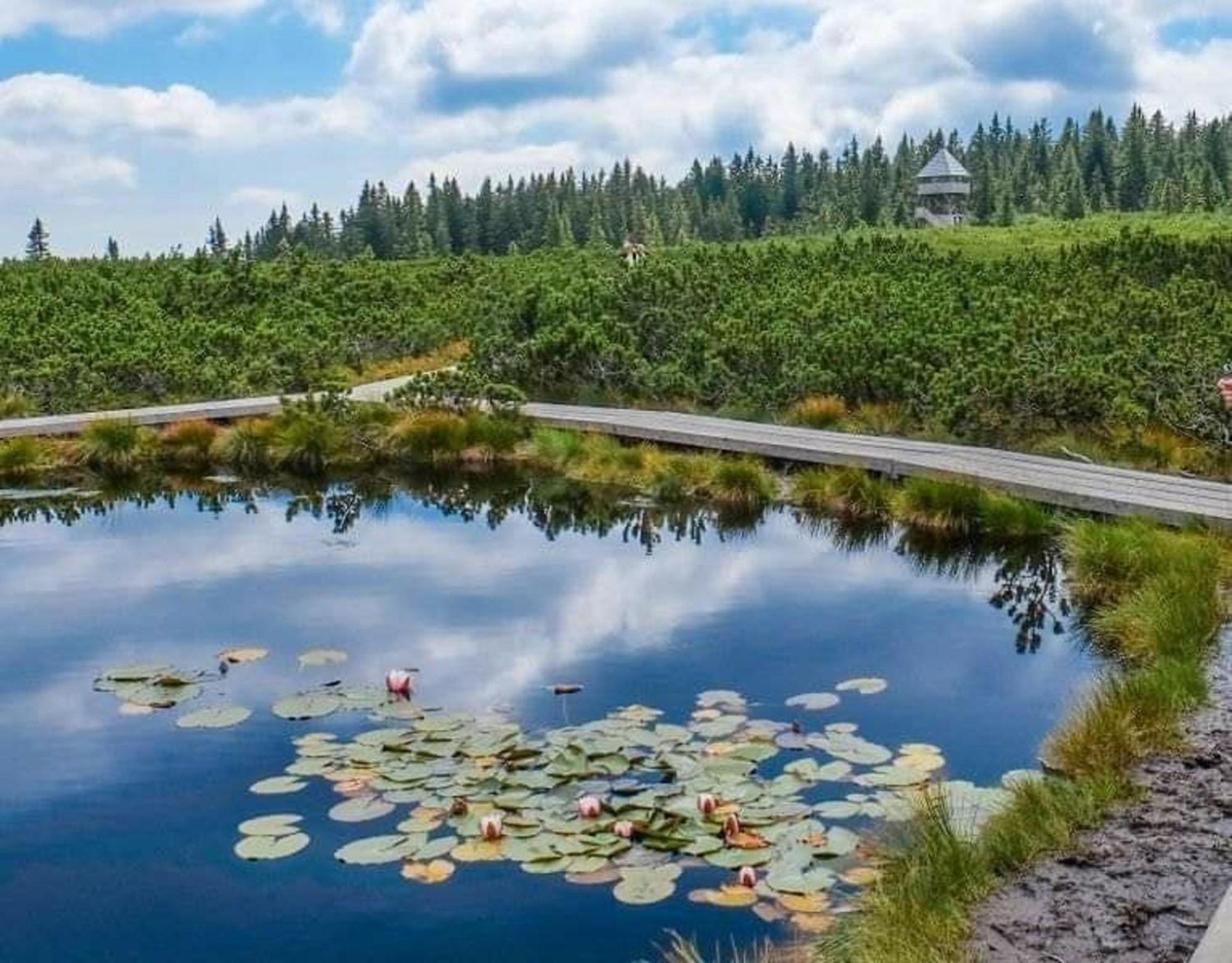 Rogla - Chalet Mojca Pokrajculja Zreče Exteriér fotografie