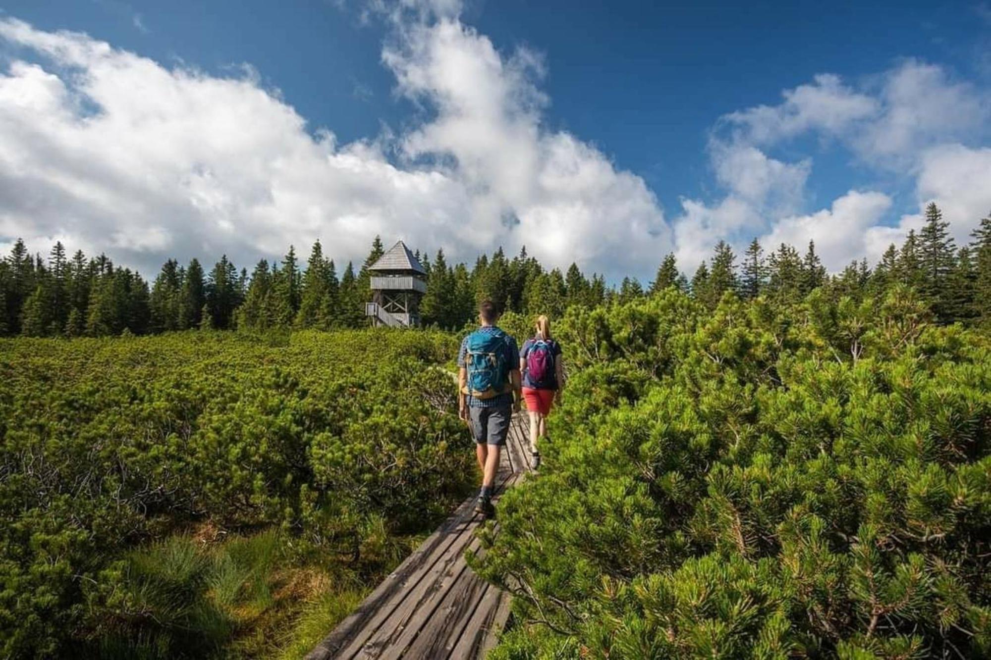Rogla - Chalet Mojca Pokrajculja Zreče Exteriér fotografie