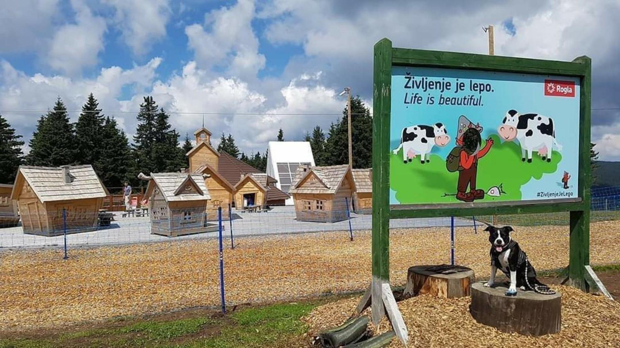 Rogla - Chalet Mojca Pokrajculja Zreče Exteriér fotografie