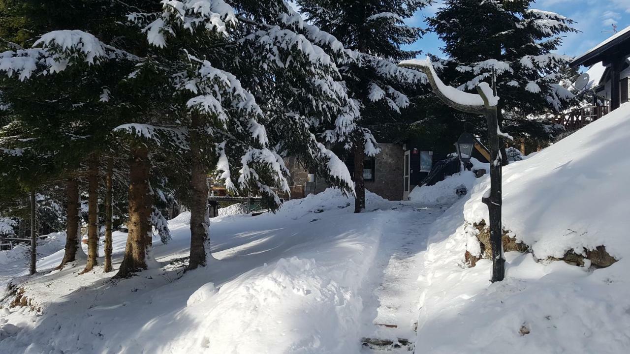 Rogla - Chalet Mojca Pokrajculja Zreče Exteriér fotografie