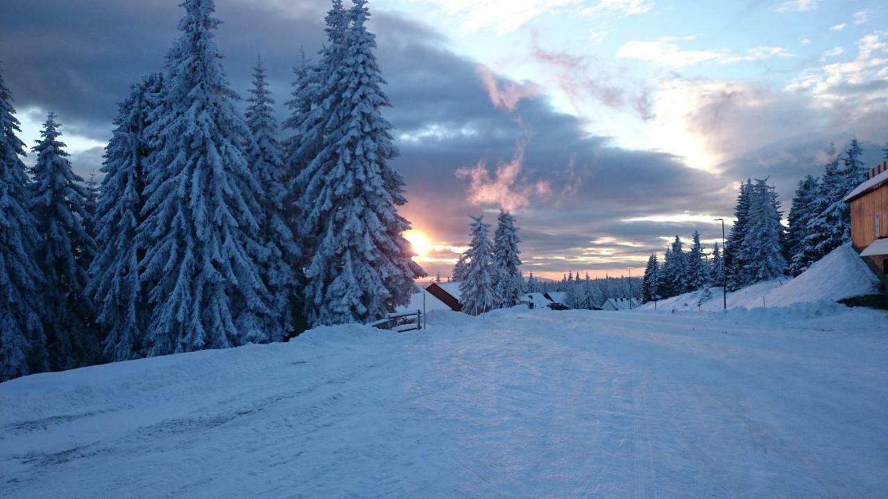 Rogla - Chalet Mojca Pokrajculja Zreče Exteriér fotografie