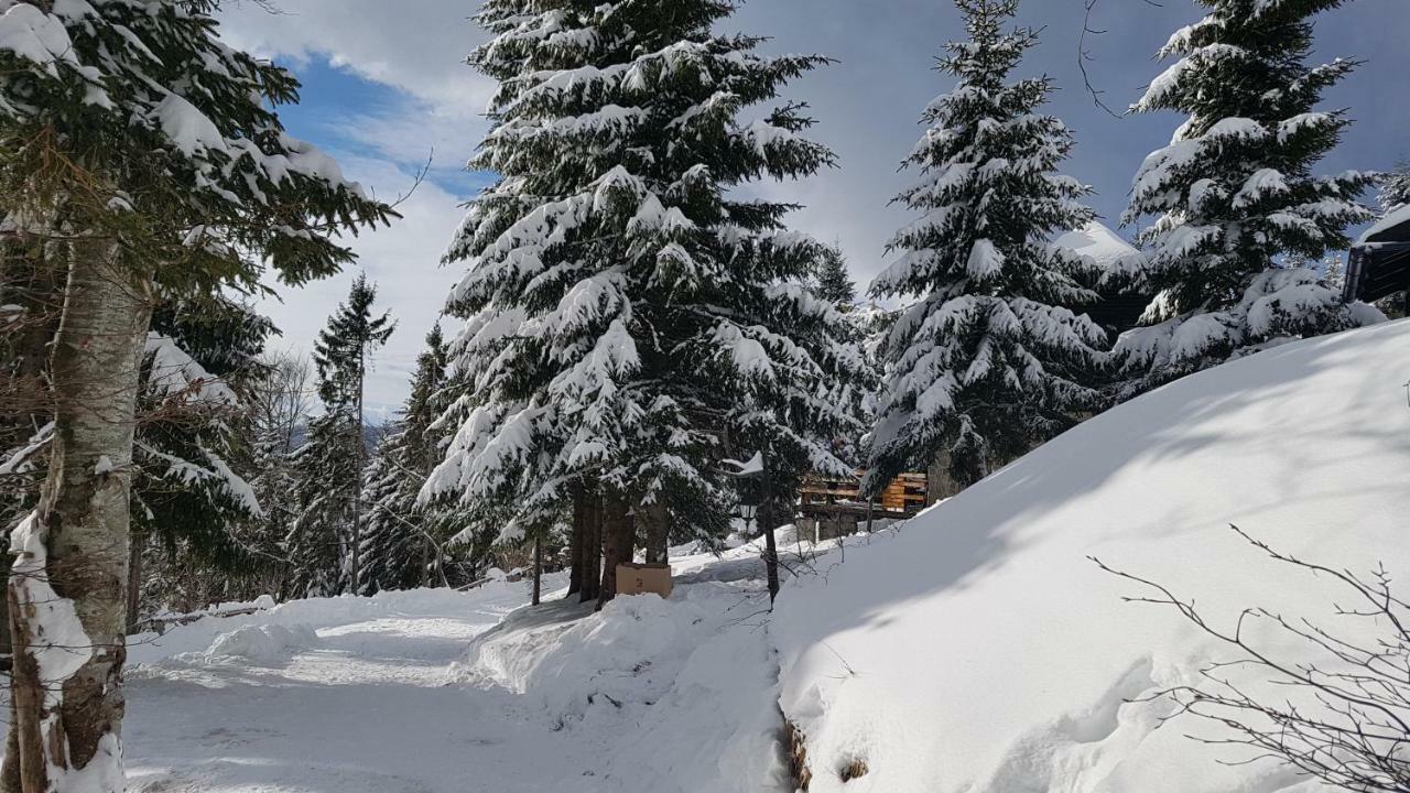 Rogla - Chalet Mojca Pokrajculja Zreče Exteriér fotografie