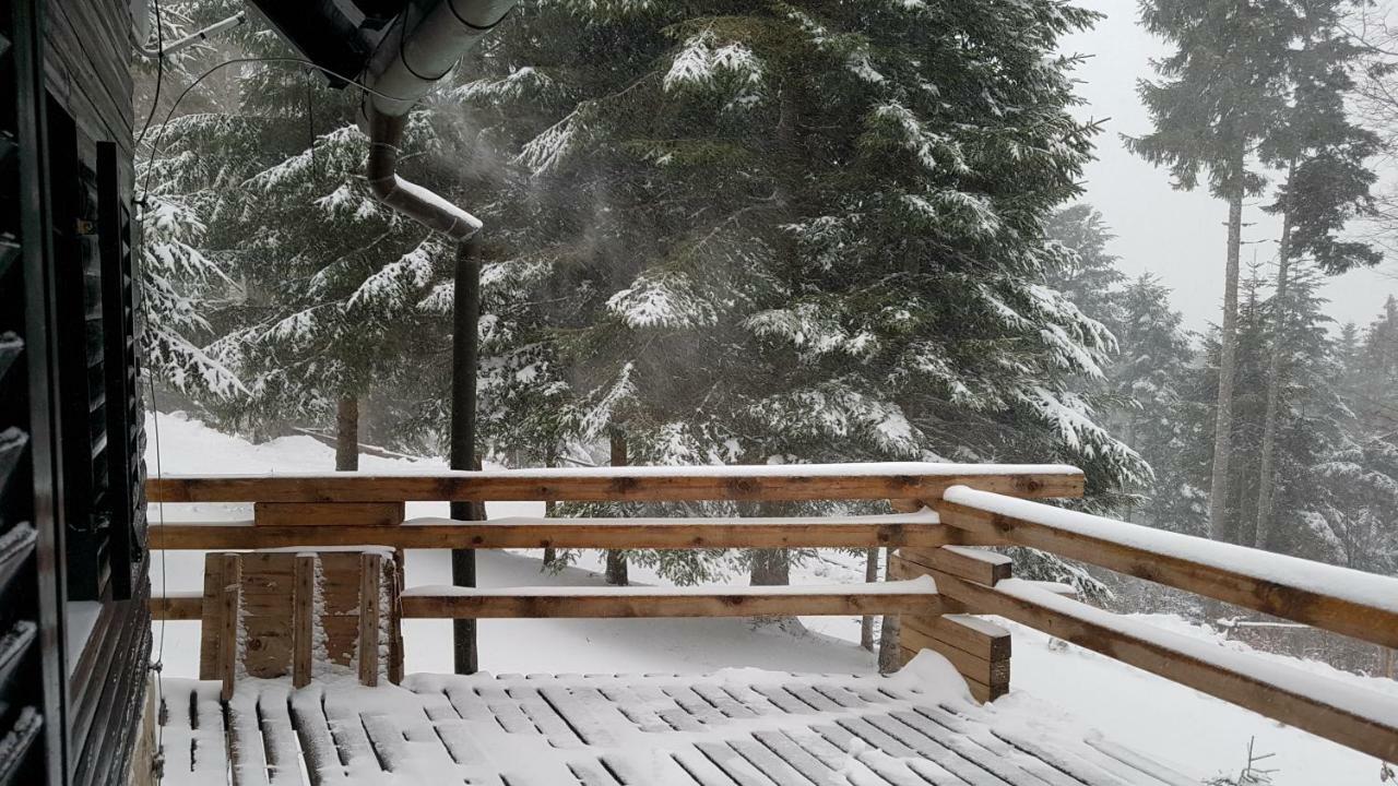 Rogla - Chalet Mojca Pokrajculja Zreče Exteriér fotografie