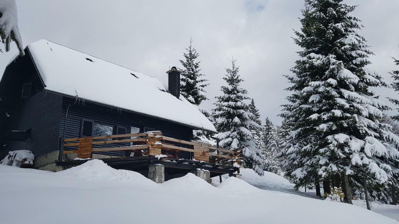 Rogla - Chalet Mojca Pokrajculja Zreče Exteriér fotografie
