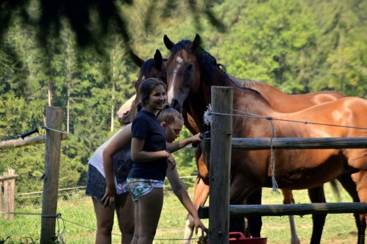 Rogla - Chalet Mojca Pokrajculja Zreče Exteriér fotografie