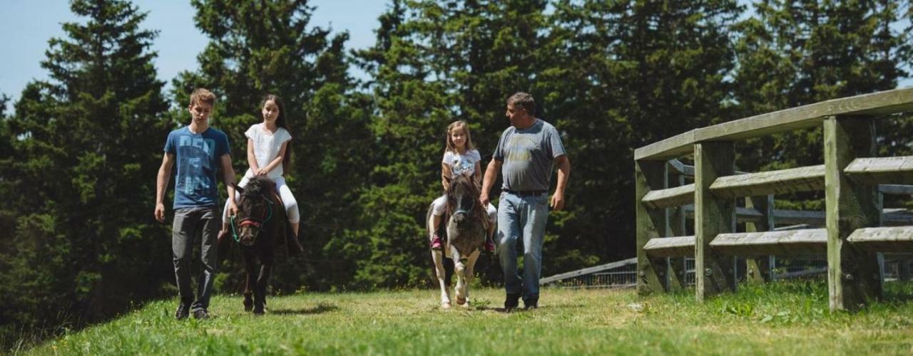 Rogla - Chalet Mojca Pokrajculja Zreče Exteriér fotografie