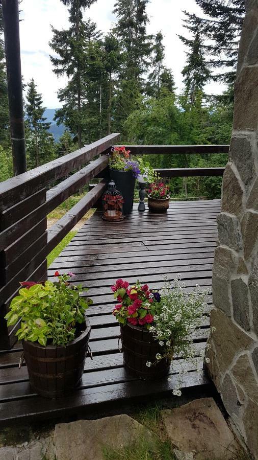 Rogla - Chalet Mojca Pokrajculja Zreče Exteriér fotografie